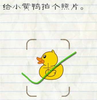 五一黄金“跳水”引爆抢购潮